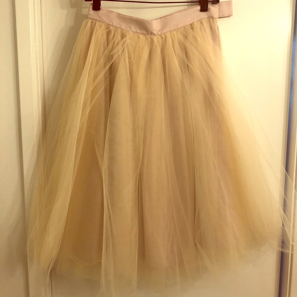 Beautiful blush tulle skirt